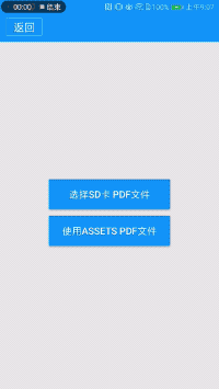 PDF Demo 效果