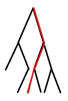 tushi-2.png