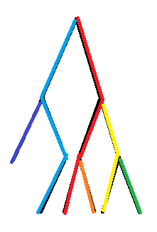 tushi-4.png