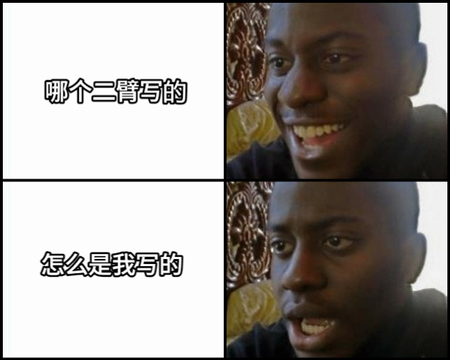 哪个二臂写的