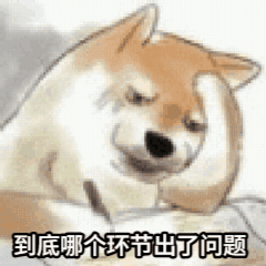 哪个环节出了问题