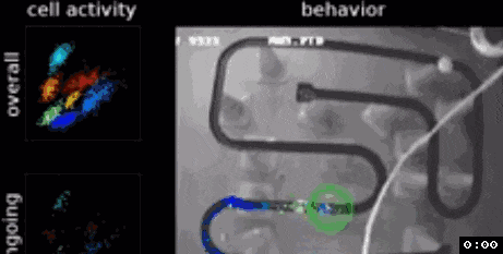 11.gif 11.gif