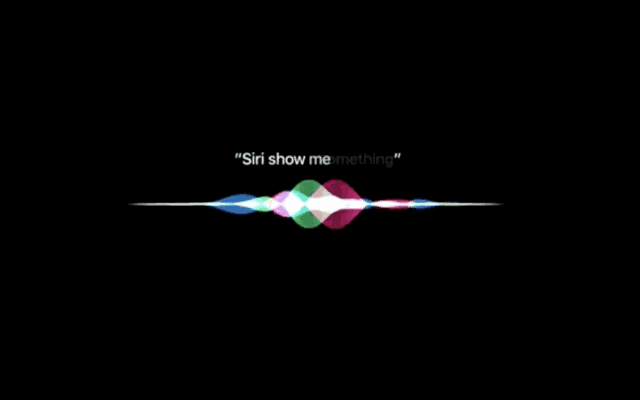 2.gif 2.gif